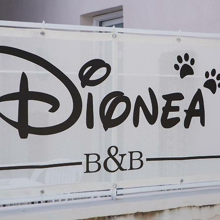 B&B Dionea Santa Maria di Castellabate Luaran gambar
