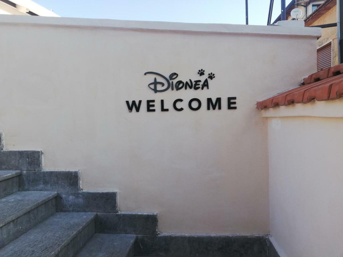 B&B Dionea Santa Maria di Castellabate Luaran gambar